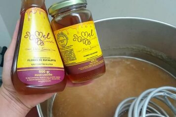 Início da produção da Cerveja Artesanal de MEL!