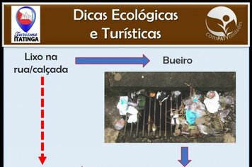 Novas dicas turísticas e ecológicas